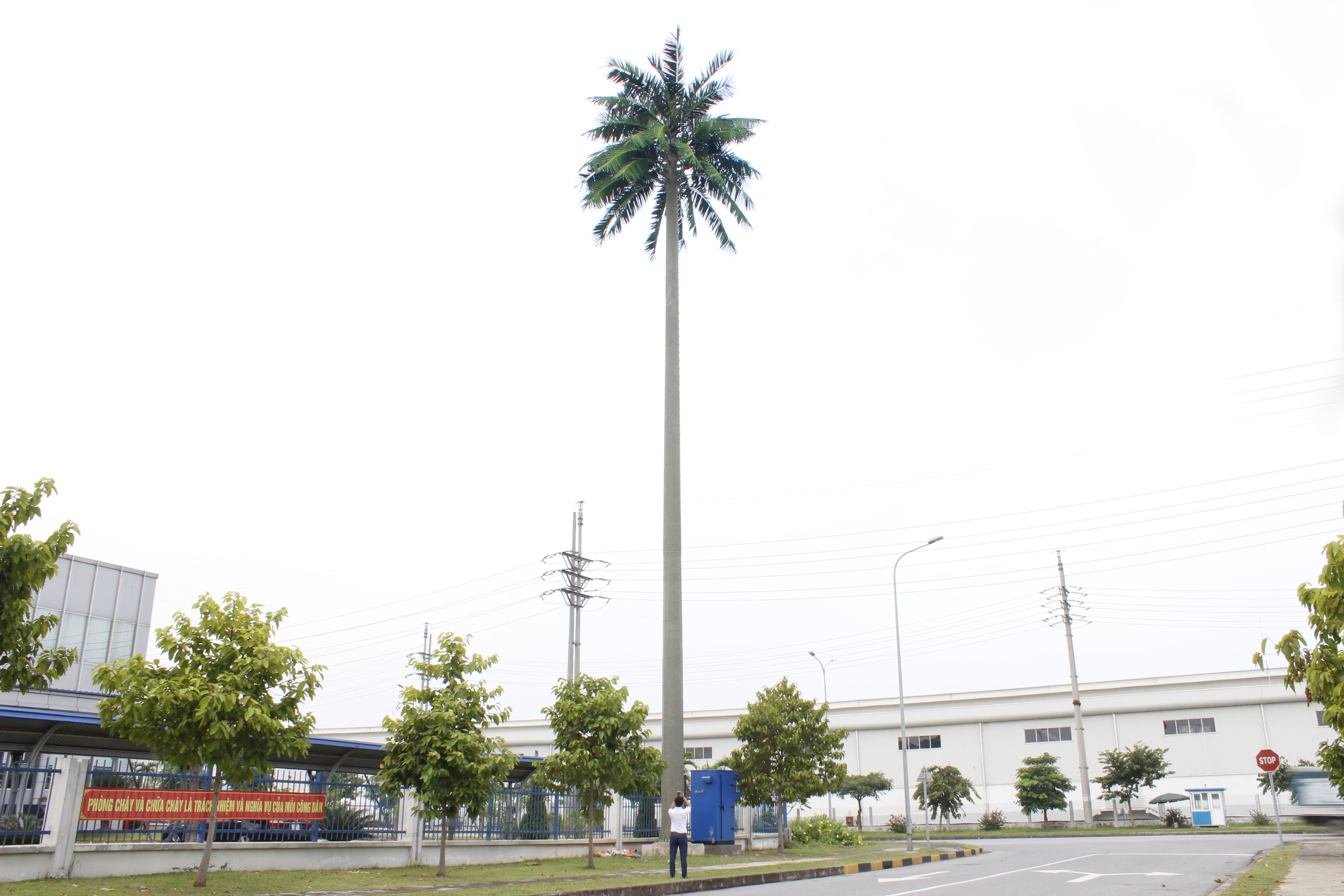 Cột anten cây dừa 25m