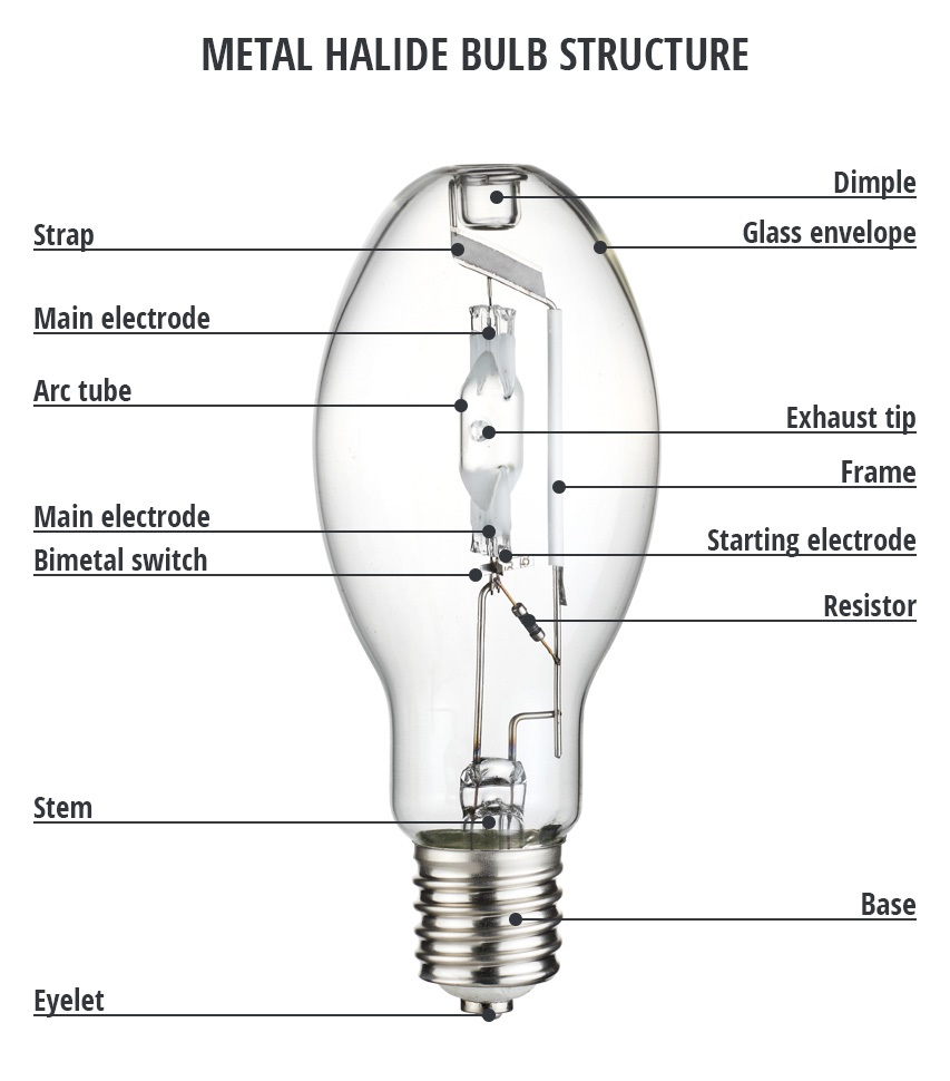 cấu tạo và nguyên lý hoạt động của bóng đèn cao áp metal halide